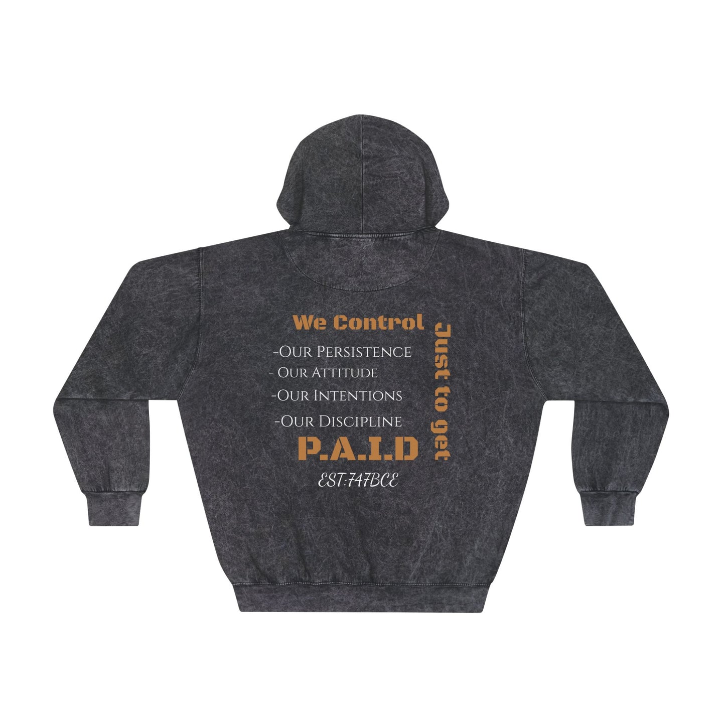 Mineral Wash Hoodie